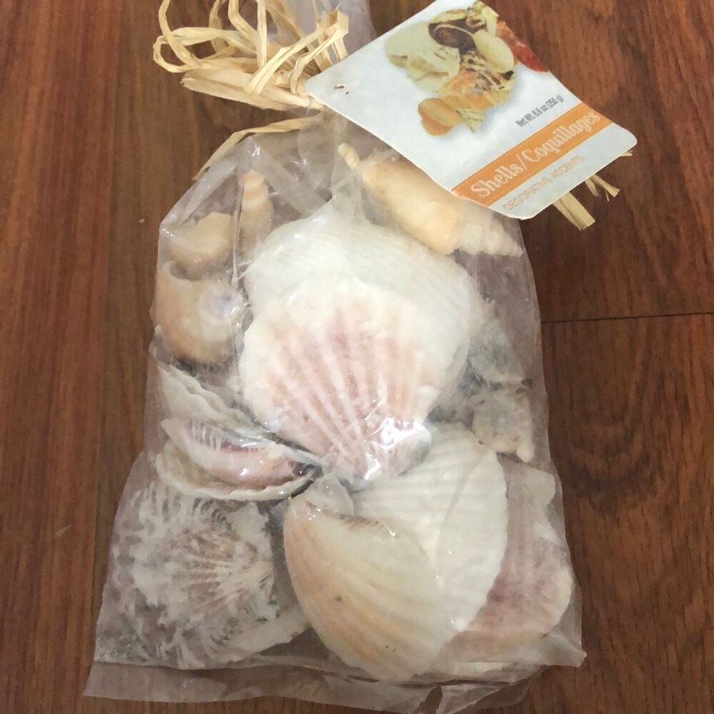 Bag of assorted seashells proximately 9 oz ￼ Coastal decor bathroom decor weddin